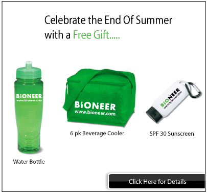Free Gift