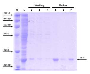 figure1