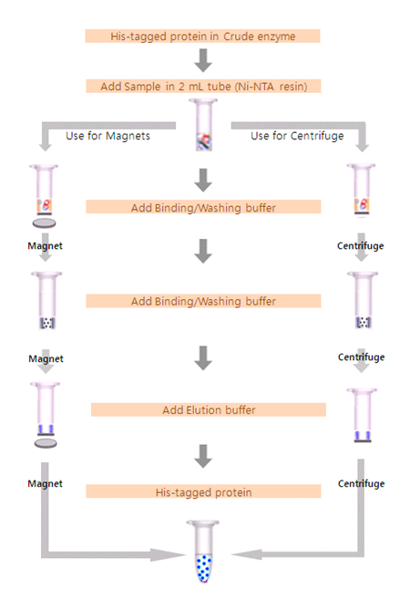 figure4