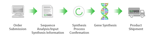 Schematics of Gene Synthesis Process