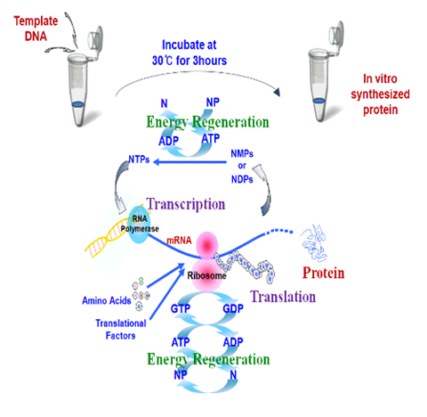 figure1