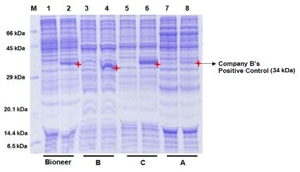 figure11