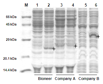 figure4