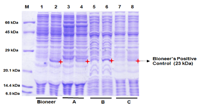 figure9