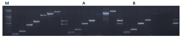 figure2