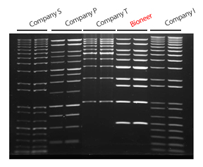 figure2