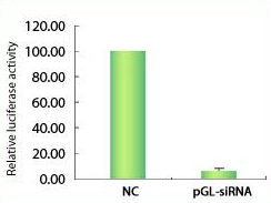 control figure4