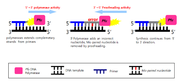 AccuPower® Hotstart pfu PCR PreMix