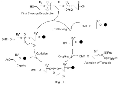 oligo figure10