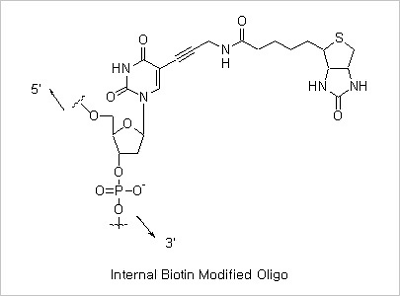 oligo figure17