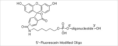 oligo figure18