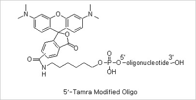 oligo figure21