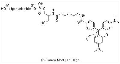 oligo figure22