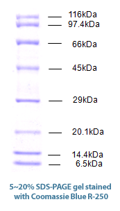 figure1