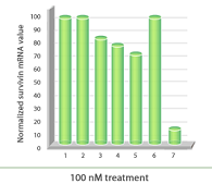 rnai figure10